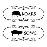 Designer Boars and Sows, Novelty Restroom (Set of 2) Wall or Door Signs